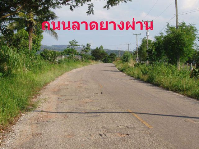 ที่ดินเลย อ.ภุูเรือ3 ไร่ ติดถนนลาดยางไฟฟ้าประปาผ่านมีเพื่อนบ้าน วิวเขาเหมาะกับบ้านพักตากอากาศมาก