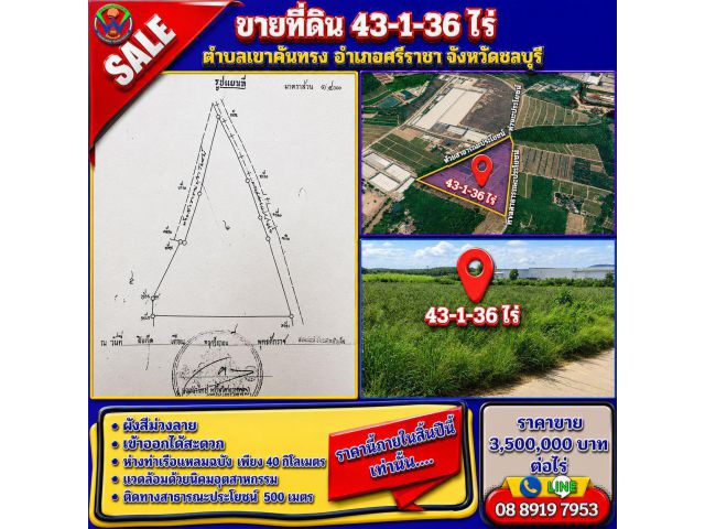 ขาย 43-1-36 ไร่ ผังสีม่วงลาย (เขาคันทรง)