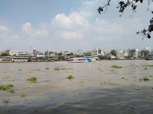 ที่ดินติดแม่น้ำเจ้าพระยาคลองสานใกล้ล้ง1919, Icon siam