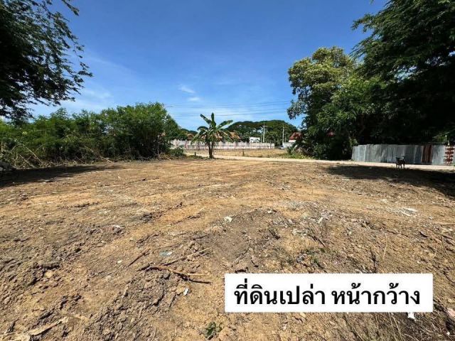 ขายที่ดินหนองปรือ พัทยาฝั่งทะเล 104 ตรว. ทำเลดีซอยสุขุมวิทพัทยา66 ถมแล้วใกล้หาดจอมเทียน-1.8กม. อ.บางละมุง ชลบุรี