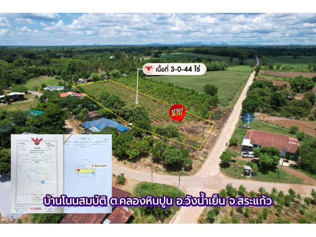 ที่สวนยูคา โฉนด 3 ไร่ ในหมู่บ้าน ติดทางคอนกรีต คลองหินปูน วังน้ำเย็น ราคาต่อรองได้