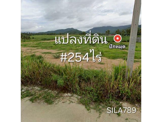 ขายที่ดิน ต.เขาคันทรง อ.ศรีราชา จ.ชลบุรี