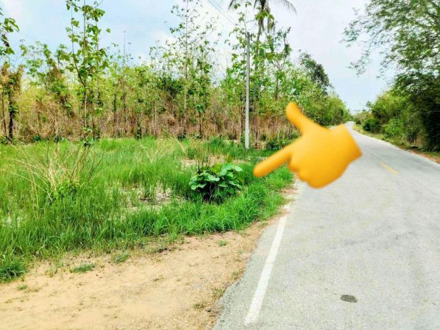 ที่ดินแปลงสวย เขต อ.เมืองอุตรดิตถ์ ราคาถูก