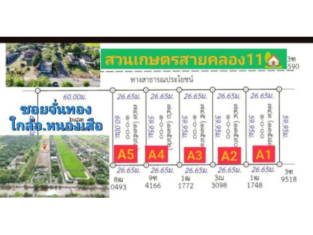 ขายถูกมาก ทำเลดี อากาศปลอดโปร่งโล่งสบาย  ️ที่ดินวิวสวนวิวนา เหมาะทำบ้านสวน ️ซื้อเก็บก็กำไร หรือซื้อเป็นมรดกให้ลูกหลาน