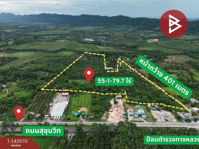 ขายที่ดิน เนื้อที่ 55 ไร่ 1 งาน 79.7 ตร.วา นายายอาม จันทบุรี