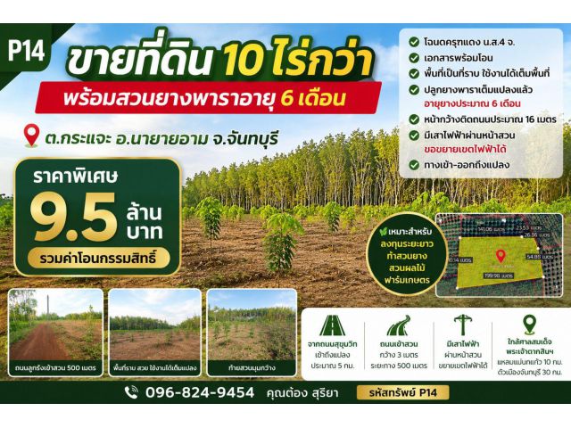 ขายที่ดิน 10 ไร่กว่า พร้อมสวนยางพาราอายุ 6 เดือน ต.กระแจะ อ.นายายอาม จ.จันทบุรี