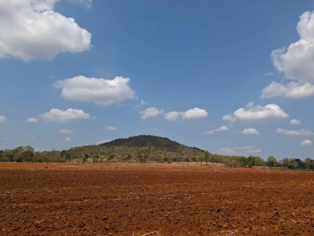 ขายที่ดินสวยเขาใหญ่