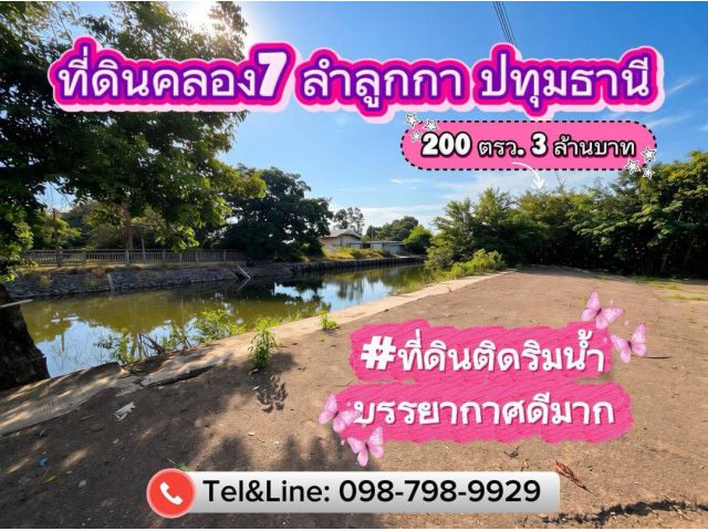 #ที่ดินติดริมน้ำ #ที่ดินคลอง7 ลำลูกกา ปทุมธานี (#ที่ดินถมแล้ว)  200 ตรว. 3 ล้านบาท