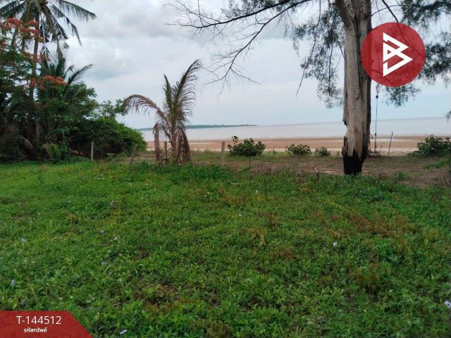 ขายที่ดิน เนื้อที่ 1 ไร่ 3 งาน 48 ตร.วา ปะทิว ชุมพร
