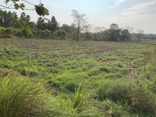 L1443 ขายที่ดิน 11 ไร่ เมืองสระแก้ว