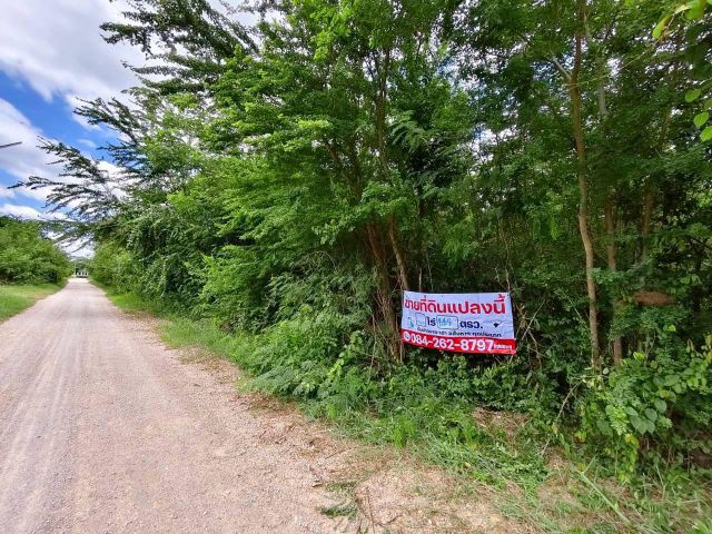 ขาย ที่ดินเปล่าทำเลดี 142 ตร.ว. ต.บ้านเลือก อ.โพธาราม