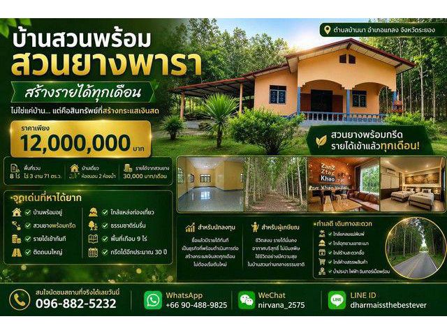 บ้านสวน พร้อมสวนยางพารา สร้างรายได้ทุกเดือน บนพื้นที่เกือบ 9 ไร่ จังหวัดระยอง