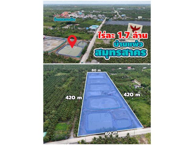 ╰┈►►โอกาสทองนักลงทุน! ที่ดิน 20 ไร่ สมุทรสาคร มีบ่อกุ้ง-ติดคลอง ใกล้ชุมชน เพียงไร่ละ 1.7 ลบ.