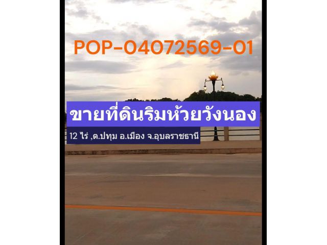 POP-04072569-01 ขายที่ดินริมห้วยวังนอง 12 ไร่ ต.ปทุม อ.เมือง จ.อุบลราชธานี