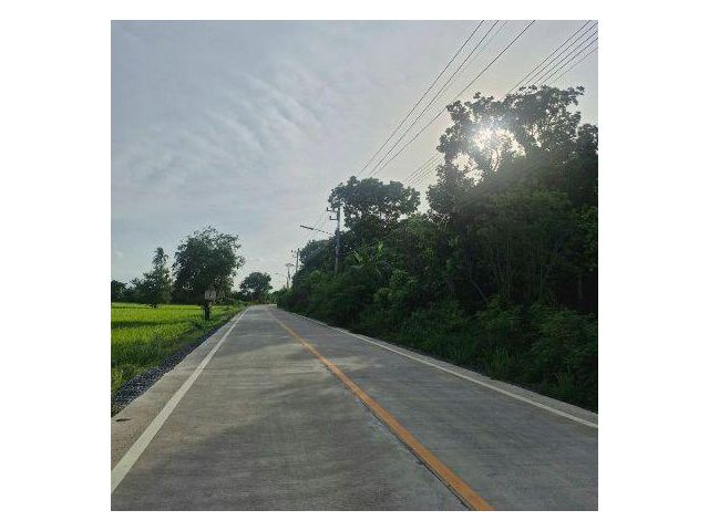 ขายด่วน ที่ดินแปลงสวยราคาถูกติดถนนคอนกรีตใกล้ถนน4เลนเนื้อที่ 5-1-65ไร่เหมาะปลูกบ้าน,ทำธุรกิจโกดังสินค้าหรือทำธุรกิจอื่นๆ