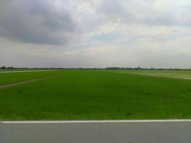ขายที่ดิน540ไร่ไร่ละ4.8ล้าน เขตหนองจอก จ.กรุงเทพฯ ที่เหมาะทำบ้านจัดสรร/โครงการขนาดใหญ่ต่างๆ/สถานที่ท่องเที่ยว