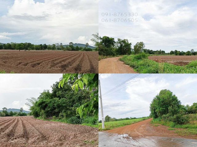 ขายที่ดิน 42ไร่ ชัยนาท ที่สูง เห็นวิวเขาสวย ขายถูกราคาถูก