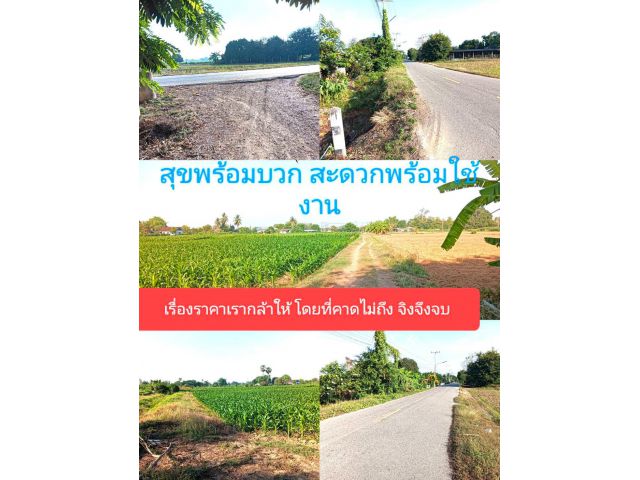 ลดราคาลงมาแล้วให้เห็นเป็นที่ประจักษ์ว่าลดจริง ในสถานการณ์เช่นนี้จำเป็นต้องลดราคา ให้สิ่งที่คุณชอบคือคำตอบง่ายๆได้ใจความ