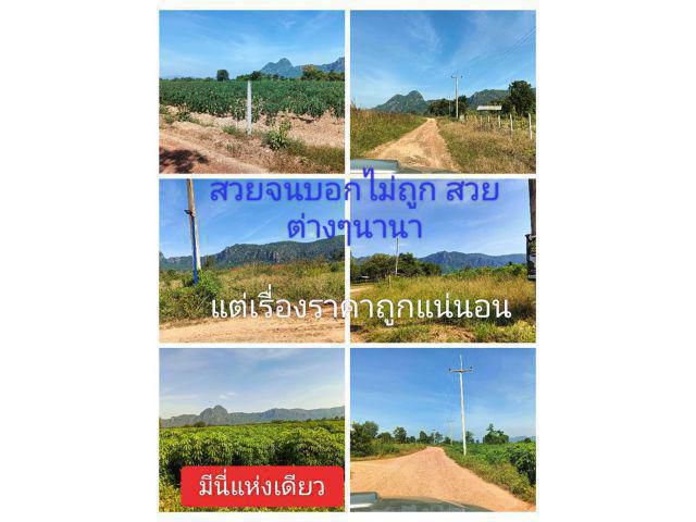 พื้นที่เป็นทางเลือก ณ.ขณะนี้ ดี ณ.ปัจจุบัน ไฟฟ้าผ่าน เพียงริเริ่มแล้วจะรู้ จะรักพื้นที่ทำกินถิ่นที่อยู่อาศัยให้ราคาถูก