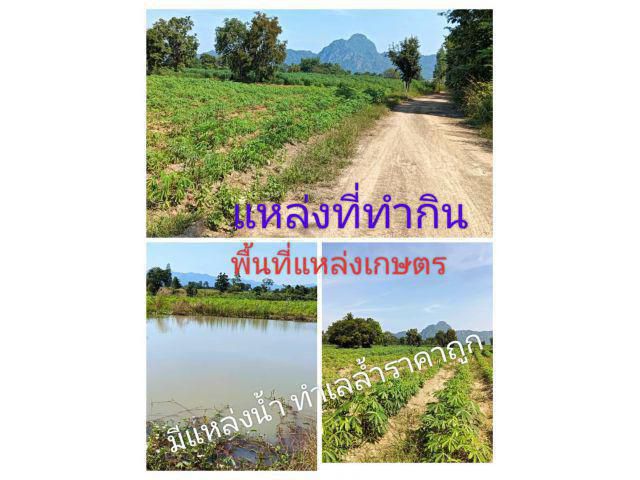 แปลงราคาถูกผูกใจใครที่สนใจพื้นที่ทำการเกษตรเป็นเขตที่น่าอยู่ ที่ไร่ที่ทำกินถิ่นที่อาศัยชีวิตพอเพียง สุขใจแล้วไม่เสี่ยง