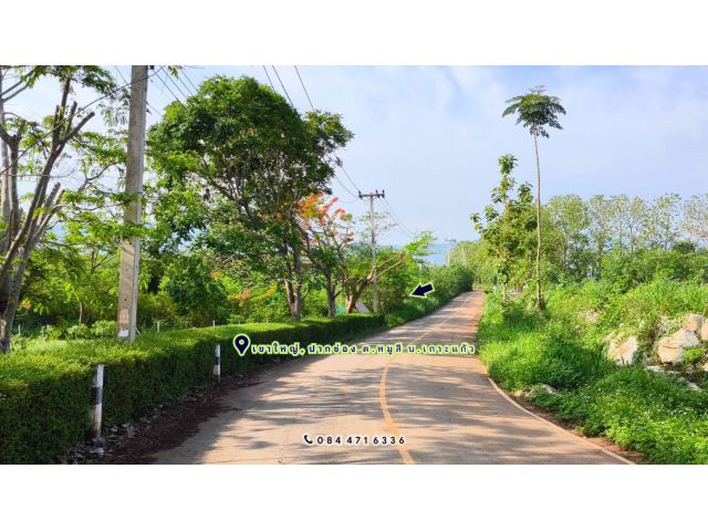 เขาใหญ่, อ.ปากช่อง ต.หมูสี บ.เกาะแก้ว *5 ไร่ 3.5 ล้าน/ไร่ ด้านหลังติดเขา ใกล้สนามฟุตบอล มาดามวัลเล่ย์(มาดามแป้ง)*