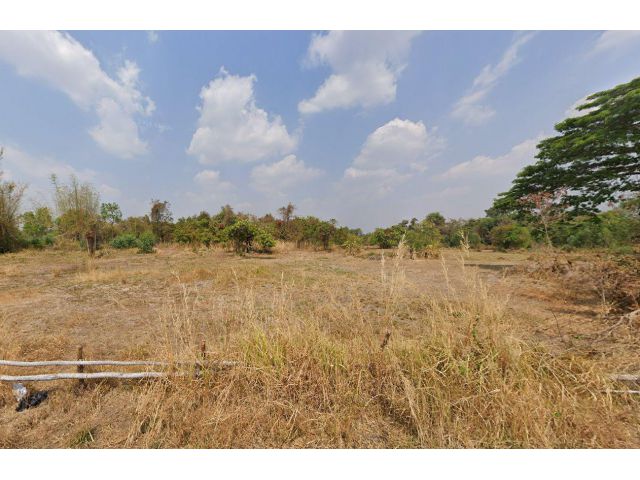 L1460 ขายที่ดิน 7 ไร่ เมืองอำนาจเจริญ