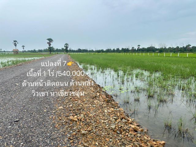 ขายที่ดินใกล้ทะเลหาดเจ้าสำราญ 200 ตารางวาราคา