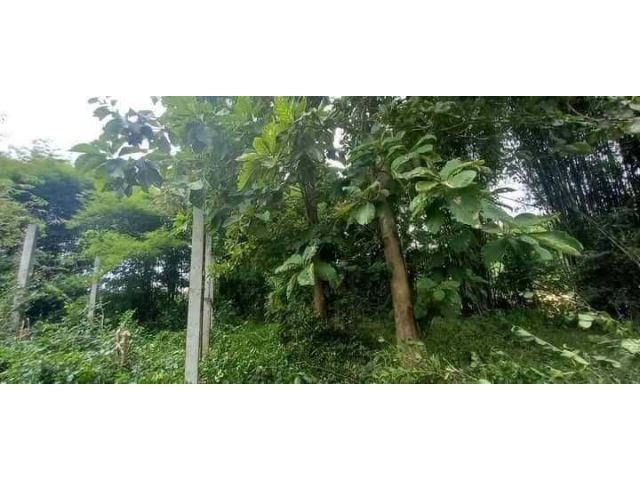 L1467 ขายที่ดิน 206 ตรว กบินทร์บุรี ปราจีนบุรี