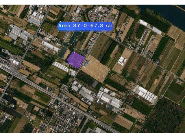 For Sale / ขาย ที่ดิน 37 ไร่ ผังสีม่วงลาย เขต EEC อ.นิคมพัฒนา จ.ระยอง ตำบลมะขามคู่ นิคมพัฒนา,ระยอง