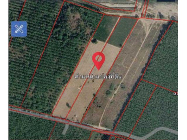 For Sale / ขาย ที่ดินทำเลทอง หลังมหาวิทยาลัยราชภัฏระยอง ติด WHA เขต EEC ตำบลหนองละลอก
