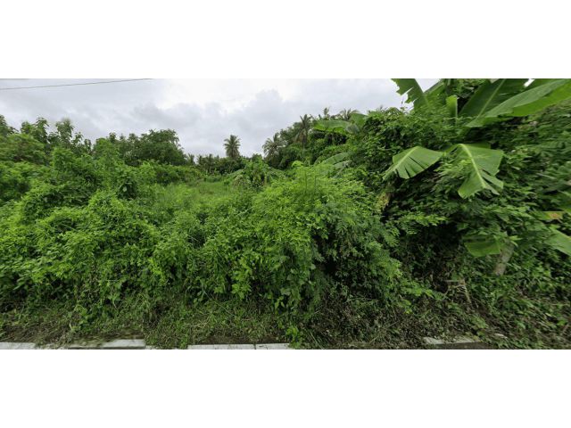 L1473 ขายที่ดิน 300 ตรว ท่าช้าง สิงห์บุรี