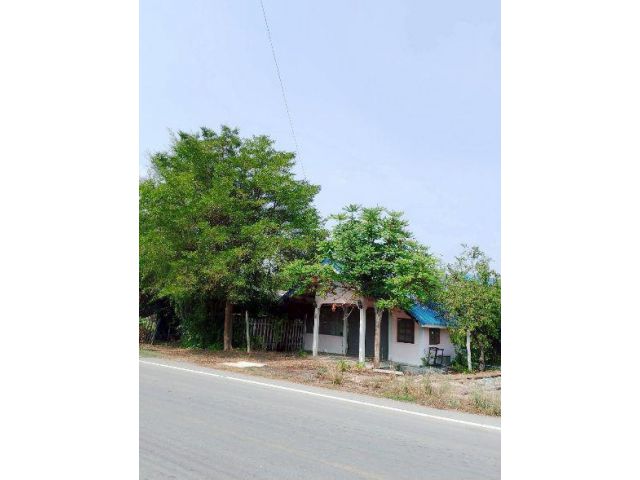 ขายด่วน!!! ที่พร้อมบ้านสวน ต.แหลมบัว ราคาถูก ทำเลดี ติดถนนลาดยาง ใกล้ชุมชนเนื้อที่ 196 ตรว.เหมาะอยู่อาศัย หรือทำธุรกิจค้าขาย
