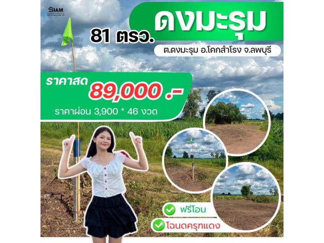 ที่ดิน ดงมะรุม โคกสำโรง ลพบุรี