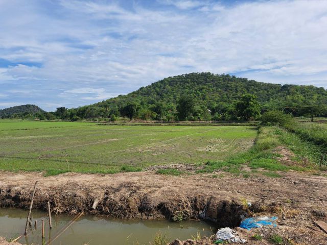 L1484 ขายที่ดินวิวภูเขา 11 ไร่ เดิมบางนางบวช สุพรรณบุรี