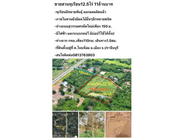 ขายสวนทุเรียน 12.5ไร่ๆละ8.8แสนบาท ทุเรียนให้ผลผลิตแล้วใกล้ถนนสุวรรณศรตัดใหม่ ต.โนนห้อม อ.เมือง ปราจีนบุรี โทร0813763803