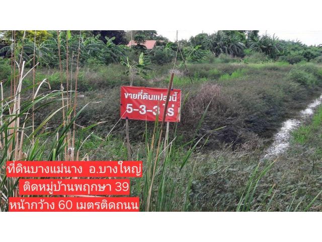 ขายที่ดินทอง 5-3-0.3 ไร่ ผังสีเหลือง บางแม่นาง-บางใหญ่ หน้ากว้าง 60 ม. เหมาะทำโครงการจัดสรร