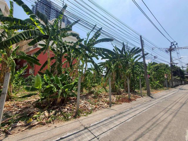 ขายที่ดินบ้านสวน 2 ไร่ ทรงสี่เหลี่ยมสวย ไทรใหญ่-ไทรน้อย นนทบุรี ใกล้ ถ.340 มีคลองส่งน้ำ บรรยากาศดีเหมาะทำเกษตร/วัยเกษียณ