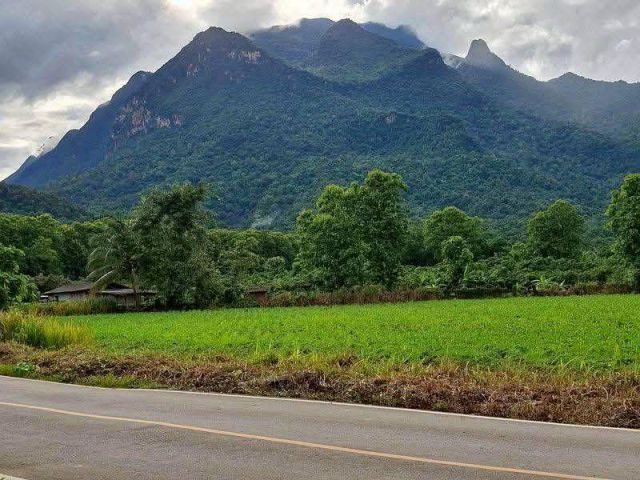 ขายที่ดินวิวดอยหลวงเชียงดาวติดถนนห่างน้ำพุร้อนเพียง 1 กม