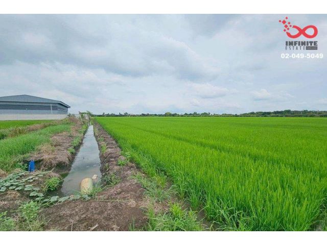 ขายที่ดิน 2-3-18 ไร่ สุวินทวงศ์ ใกล้ตลาดฉิน คลองหลวงแพ่ง ฉะเชิงเทรา