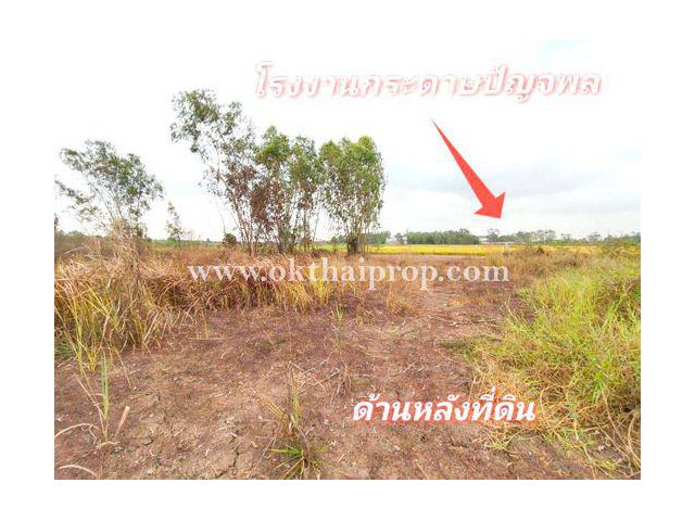 ที่ดิน 183 ตร.วา ถนน3111 อ.บางไทร จ.พระนครศรีอยุธยา