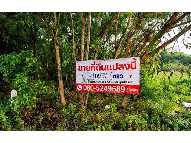 ขายที่ดินราชพฤกษ์ตัดใหม่ 346 ลาดหลุมแก้ว 4-3-49 ไร่ มีสระบัวร่มรื่น เหมาะทำคาเฟ่-บ้านสวนตากอากาศ