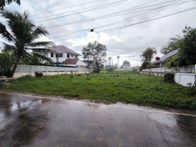 ขายที่ดินหน้าโครงการหมู่บ้านภูฟ้า 1 ต.ป่าแดด