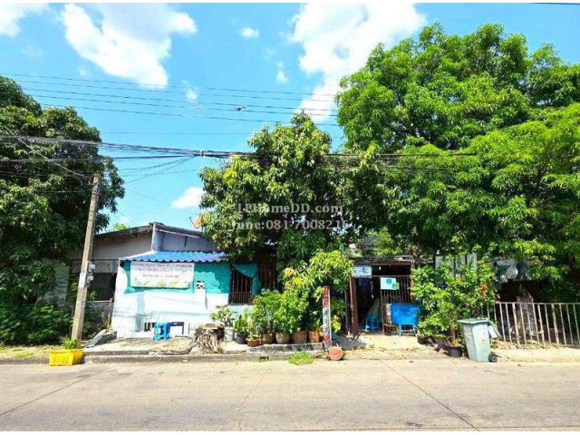 ขายถูก บ้านแฝดชั้นเดียว 46 ตร.ว. หมู่บ้านนักกีฬาแหลมทอง ซอย 7 บ้านกว้างพื้นที่ใช้สอยเยอะ ทำเลดี เดินทางสะดวก