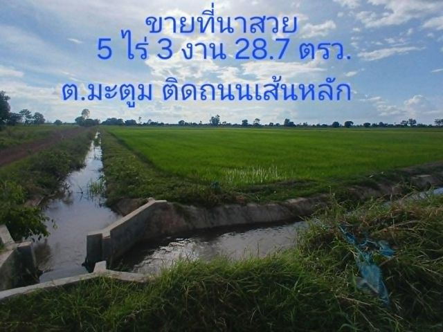 ขายที่นา โฉนด 4122 เนื้อที่ 5 ไร่ 3 งาน 28 ตรว.ต.มะตูม อ.พรหมพิราม ตรงข้ามวัดท่าช้าง ที่สวย ติดถนนหลัก ติดคลองส่งน้ำ ขายไร่ละ 120,000 บ.ฟรีค่าโอน