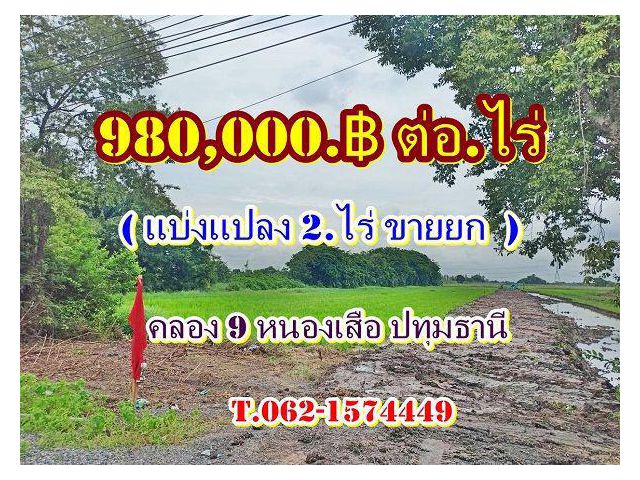ขายถูกกว่าใครในโซนนี้เจ้าของที่ร้อนเงินรีบขายรีบปิดโครงการ ที่ดินทำเลทอง คลอง 9 ต.บึงบา อ.หนองเสือจ.ปทุมธานี (ใกล้วัดคลอ