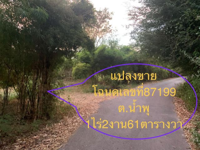 ขายที่ดิน ติดวัดหนองเเช่เสา ตำบลน้ำพุ เมืองราชบุรี 1ไร่ 2งาน 61 ตรว. ไร่ละ 550,000 บาท
