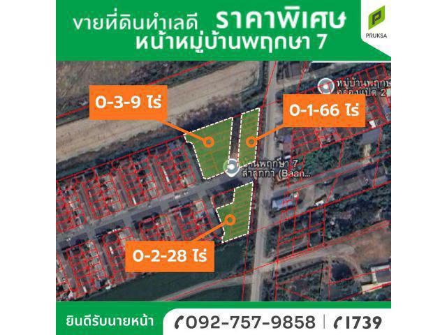 ขายที่ดิน 3 แปลงแบ่งขายได้ ทำเลดี ลำลูกกาคลอง 8