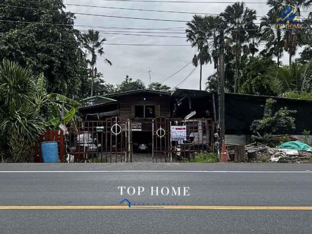 ขายด่วน️ที่ดินแปลงใหญ่ หนองเสือ คลอง 13 จ.ปทุมธานี