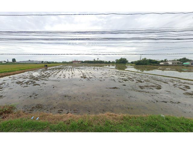L1546 ขายที่ดิน 19 ไร่ ใกล้ถนนเพชรเกษม เขาย้อย เพชรบุรี