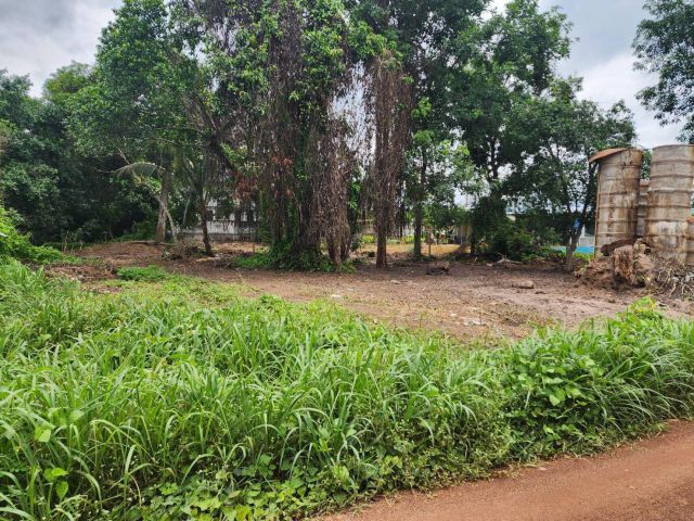 L1549 ขายที่ดิน 100 ตรว ศรีมหาโพธิ ปราจีนบุรี